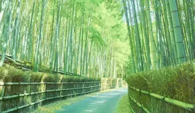 地域マーケティングDX